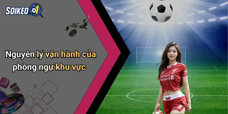 Nguyên lý vận hành của phòng ngự khu vực