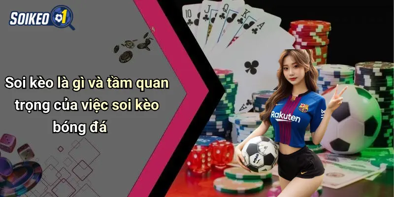 Soi kèo là gì và tầm quan trọng của việc soi kèo bóng đá