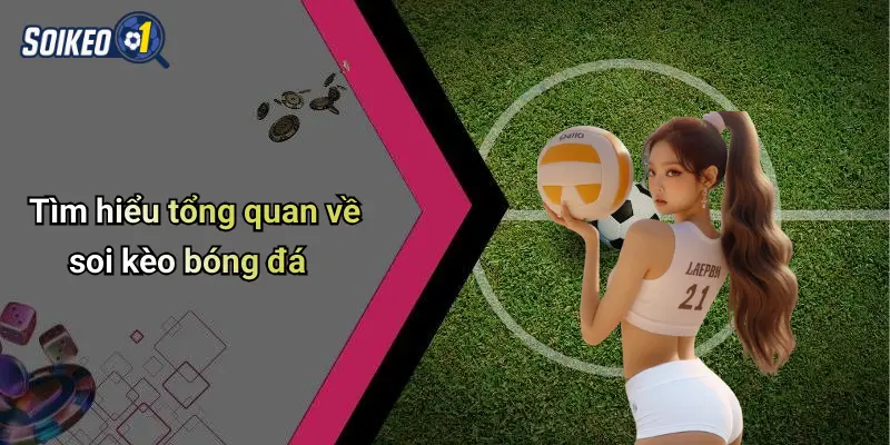 Tìm hiểu tổng quan về soi kèo bóng đá
