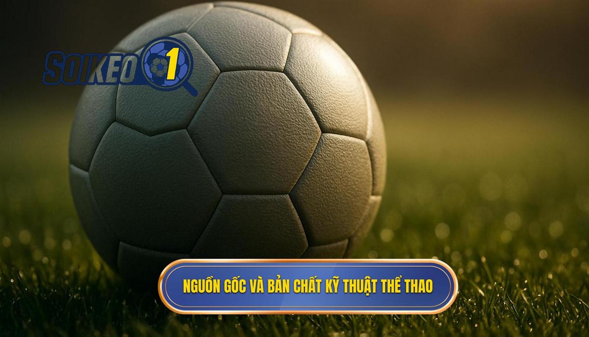 Nguồn gốc và Bản chất của Kỹ thuật Toe Poke