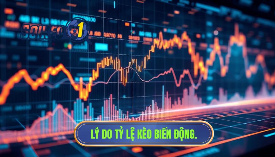 Phân tích đa chiều: Tại sao tỷ lệ kèo luôn biến động?