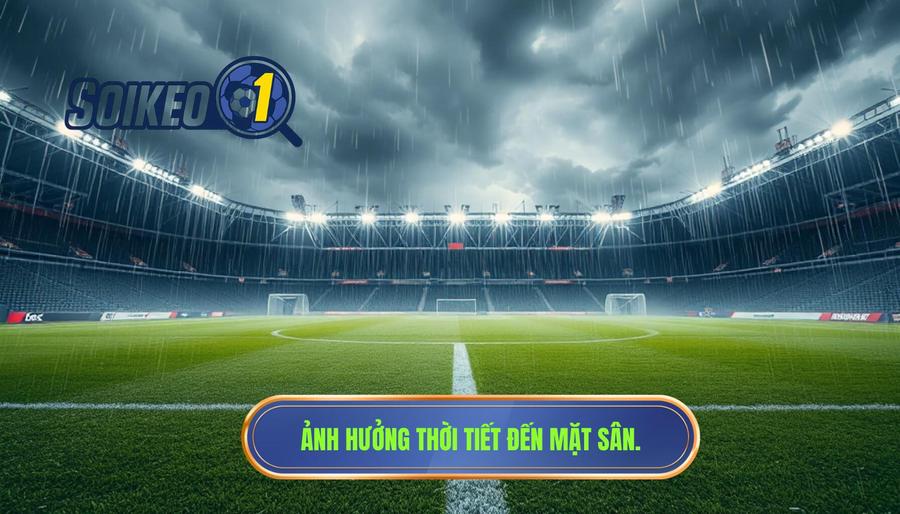 3. Điều kiện thời tiết và mặt sân 3. Điều kiện thời tiết và mặt sân
